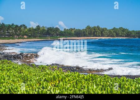 Waves crashing on coral on tropical beach Stock Photo