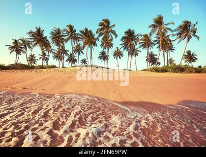 Tropical beach with coconut palm trees seen from water at sunset, color toning applied. Stock Photo