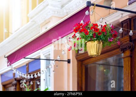 hanging golden flowerpot with blooming petunia on the visor at the facade of the building is an architectural element of the decor of the terrace of a Stock Photo