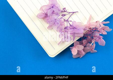 Close-up of diary with flowers, feminine and cozy notebook concept on blue background, flat lay Stock Photo