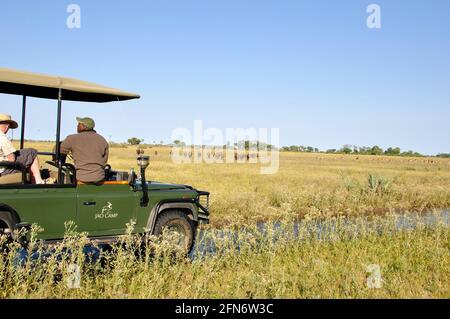 Auf Safari mit dem 4x4 Fahrzeug (Landrover) in den Okavango Delta Sümpfen. On safari with a 4x4 Landrover in the Okavango-Delta swamps. Stock Photo