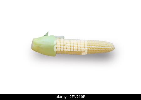 Fresh baby corn isolates on white background. Stock Photo