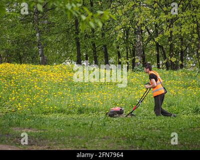 Moscow, Russia. 14th May, 2021. A lawn mower works on a vacant lot overgrown with dandelions. (Photo by Alexander Sayganov/SOPA Images/Sipa USA) Credit: Sipa USA/Alamy Live News Stock Photo