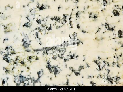 Selected French blue cheese, Dor blue texture, background. Stock Photo