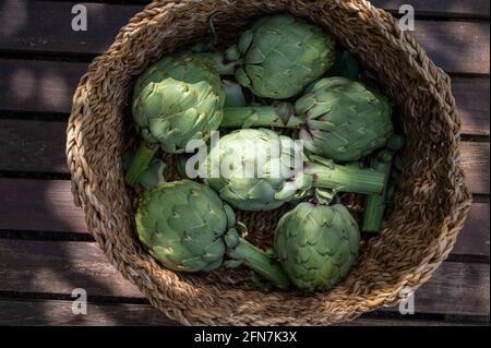 Fresh ripe green artichokes heads ready to cook close up Stock Photo