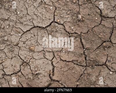 Texture of dry and cracked mud with pebbles and twigs Stock Photo