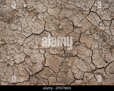 Texture of dry and cracked mud with pebbles and twigs Stock Photo