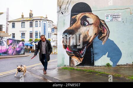 Brighton UK 15th May 2021 - This dog rushes past a rather large canine mural on a rainy day in Brighton as wet weather sweeps across most parts of Britain today : Credit Simon Dack / Alamy Live News Stock Photo