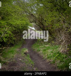 A footpath leads down the the towpath of the Leeds Liverpool Canal in Haigh, Greater Manchester Stock Photo