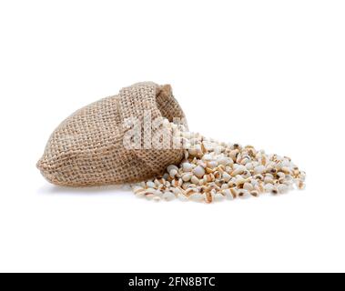 Millet rice , millet grains isolated on white background. Stock Photo