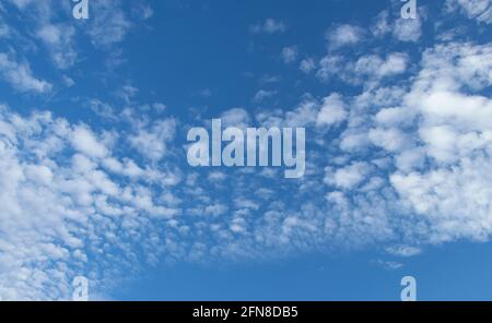 Blue sky with white clouds. Spindrift clouds. Stock Photo