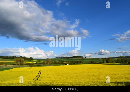 fast moving clouds over yellow fields Stock Photo