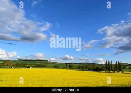 fast moving clouds over yellow fields Stock Photo