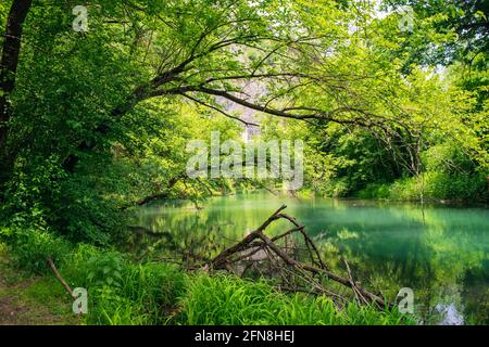 Iskar Panega Geopark along the Gold Panega River near Lukovit, Bulgaria Stock Photo