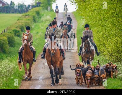 Sleaford, Lincolnshire, UK. 15th May 2021. The last meet of the season for the Cranwell Bloodhounds was a hound exercise ride, led by Joint Master Wendy Broughton MH and the Huntsman Frank Goddard as they and their followers were dodging showers.  Credit: Matt Limb OBE/Alamy Live News Stock Photo