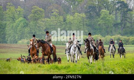 Sleaford, Lincolnshire, UK. 15th May 2021. The last meet of the season for the Cranwell Bloodhounds was a hound exercise ride, led by Joint Master Wendy Broughton MH and the Huntsman Frank Goddard as they and their followers were dodging showers.  Credit: Matt Limb OBE/Alamy Live News Stock Photo