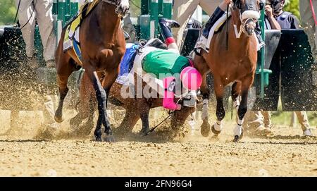 Lexington, Kentucky, USA. 15th May, 2021. May 15, 2021 : #3 Market Cap, with Johan Rosado, takes a fall during the Sir Barton Stakes on Preakness Stakes Day at Pimlico Race Track in Baltimore, Maryland on May 15, 2021. John Voorhees/Eclipse Sportswire/CSM/Alamy Live News Stock Photo