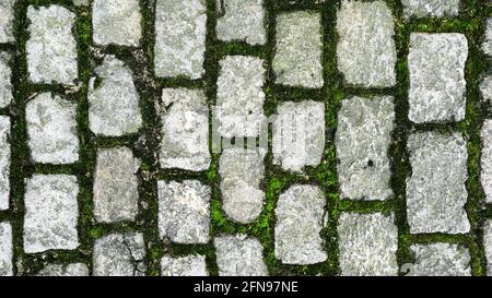 Texture of stone road, bright green moss between stones Stock Photo