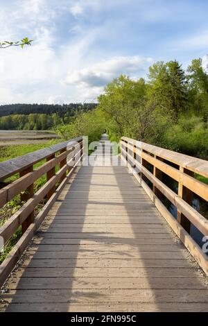 Shoreline Trail, Port Moody, Greater Vancouver, British Columbia, Canada Stock Photo