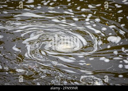 Swirl of water foam in shape of a spiral on river surface Stock Photo