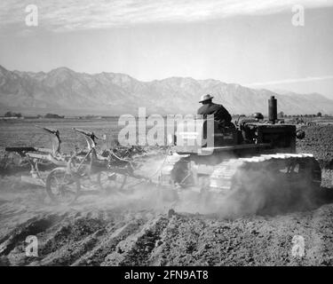 Ansel Adams, Benji Iguchi driving a tractor at Manzanar Relocation Center, California, 1943 Stock Photo