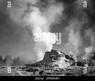 ansel-adams-castle-geyser-cove