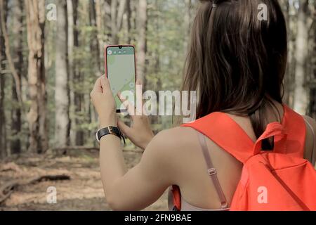 Woman standing in middle of forest, using navigation app on smartphone, following route with help of map, looking at device screen, using smartphone n Stock Photo