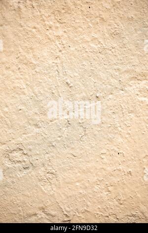 beige wall. painted plaster texture Stock Photo