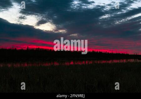 Bright pink sunset between dark trees and a dark grey with clouds as the sun is close to fully setting for the night Stock Photo