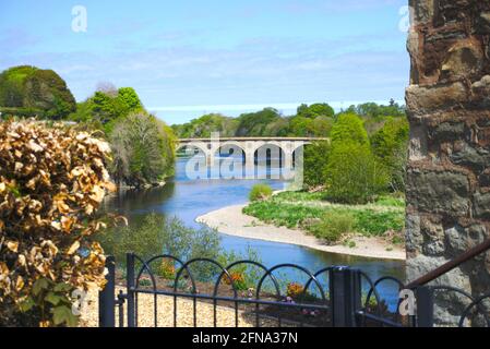 View over the River Tweed from Henderson Park, Coldstream, Berwickshire, Scottish Borders, Scotland, UK, with Coldstream Bridge in the background. Stock Photo