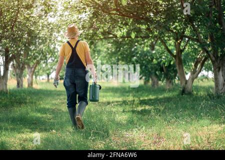 Female farmer with watering can in organic orchard, locally grown food production concept, selective focus Stock Photo