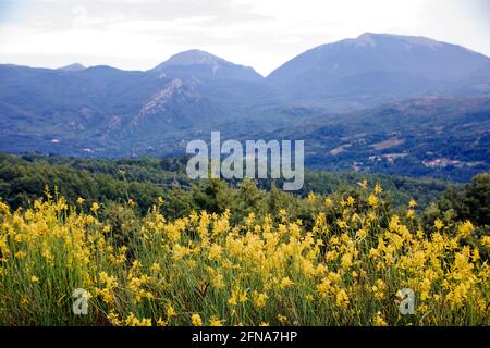 National park of Pollino, In Basilicata region, Italy Stock Photo