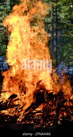 Bonfire, burning brush, controlled fire, flames Stock Photo - Alamy