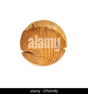 Brown round wood cut texture with annual growth tree rings from pine trunk isolated on white background. Stock Photo