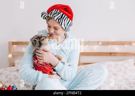Pet owner celebrating Christmas New Year holiday alone. Young woman in Santa hat hugging cute miniature Australian shepherd puppy dog pet. Holiday cel Stock Photo