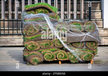 Stack of turf grass rolls, small rolls of sod on pallet is ready for pick up and installation Stock Photo