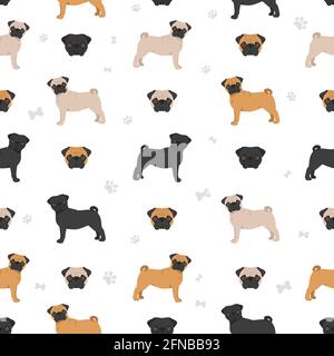 Pug seamless pattern. Different poses, coat colors set.  Vector illustration Stock Vector