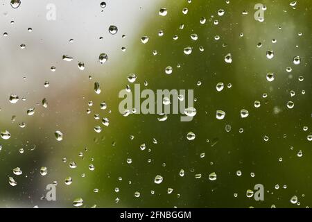 Rain drops on a window pane. Stock Photo