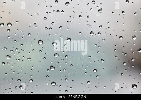 Rain drops on a window pane. Stock Photo