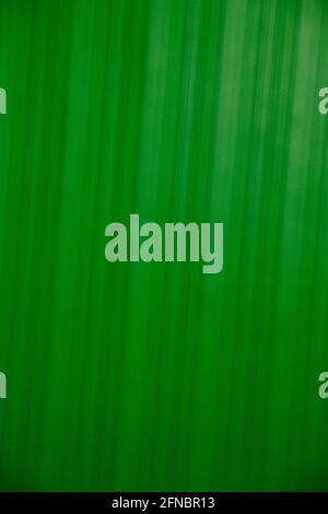 Blured striped green background, lighten grungy green texture close up. Stock Photo