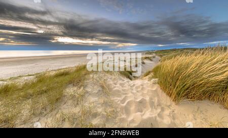 Landscape view of sand dune on the North sea coast at sunset near Wijk aan Zee, Noord Holland Province, the Netherlands. Landscape scene of european n Stock Photo