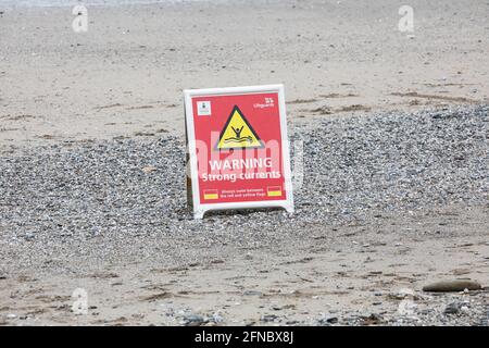 Portreath, Cornwall, 16th May 2021, The RNLI were on duty in Portreath, Cornwall, with s red warning sign reminding people about the danger of strong currents. The surfers made the most of the big waves as the weather is forecast to be 12C rain showers with a fresh breeze. Credit: Keith Larby/Ģ����ý Live News Stock Photo