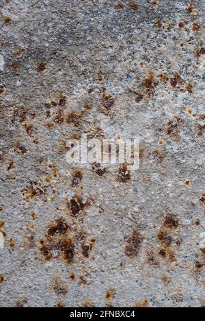 Close up of corrosion forming on galvanised steel sheet. Mineralisation. Compositing texture, grunge, rust, weathering, aged, vintage. Background. Stock Photo