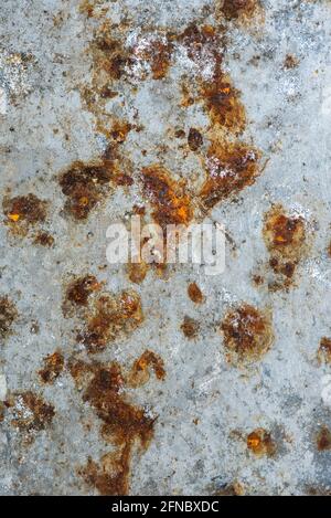 Close up of corrosion forming on galvanised steel sheet. Mineralisation. Compositing texture, grunge, rust, weathering, aged, vintage. Background. Stock Photo