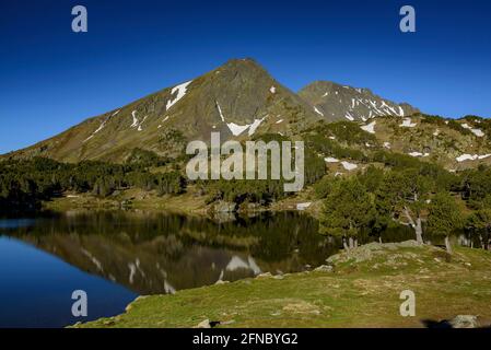 Summer morning in Camporells lakes, below the Pic Peric and Petit Peric mountains (Pyrénées Orientales, Occitanie, France) Stock Photo