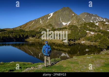 Summer morning in Camporells lakes, below the Pic Peric and Petit Peric mountains (Pyrénées Orientales, Occitanie, France) Stock Photo