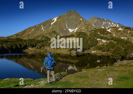 Summer morning in Camporells lakes, below the Pic Peric and Petit Peric mountains (Pyrénées Orientales, Occitanie, France) Stock Photo