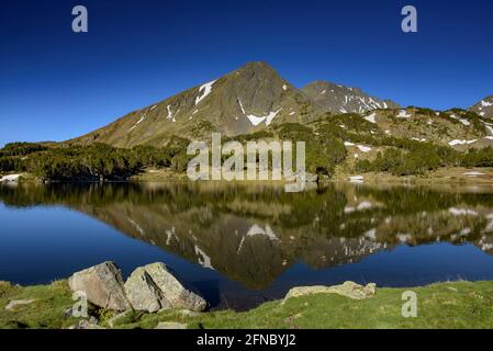 Summer morning in Camporells lakes, below the Pic Peric and Petit Peric mountains (Pyrénées Orientales, Occitanie, France) Stock Photo