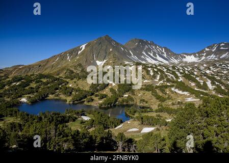 Summer morning in Camporells lakes, below the Pic Peric and Petit Peric mountains (Pyrénées Orientales, Occitanie, France) Stock Photo