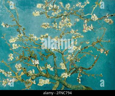 Vincent van Gogh artwork entitled Almond Blossom. Stock Photo